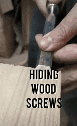 Acid Gifdump, July 1 (25 gifs)