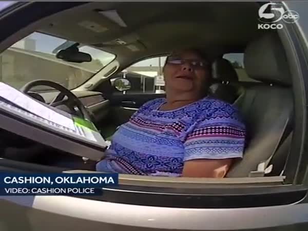 What Could Go Wrong When Country Girl Tried To Kick A Police Officer