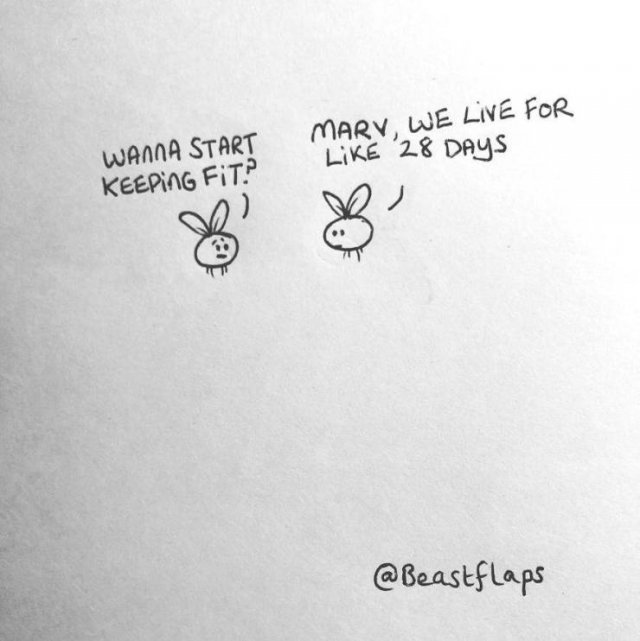 Doodles By Beast Flaps (50 pics)