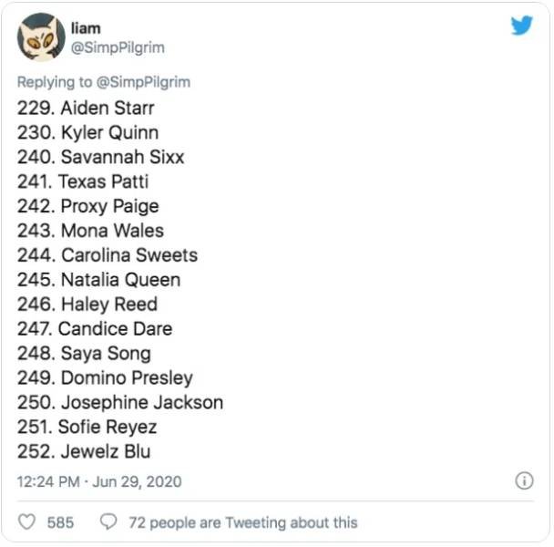 This Guy Ranked 370 Pornstars (24 pics)