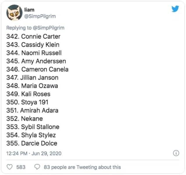 This Guy Ranked 370 Pornstars (24 pics)