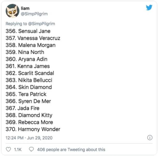 This Guy Ranked 370 Pornstars (24 pics)