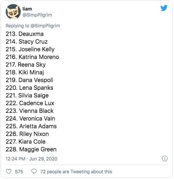 This Guy Ranked 370 Pornstars (24 pics)