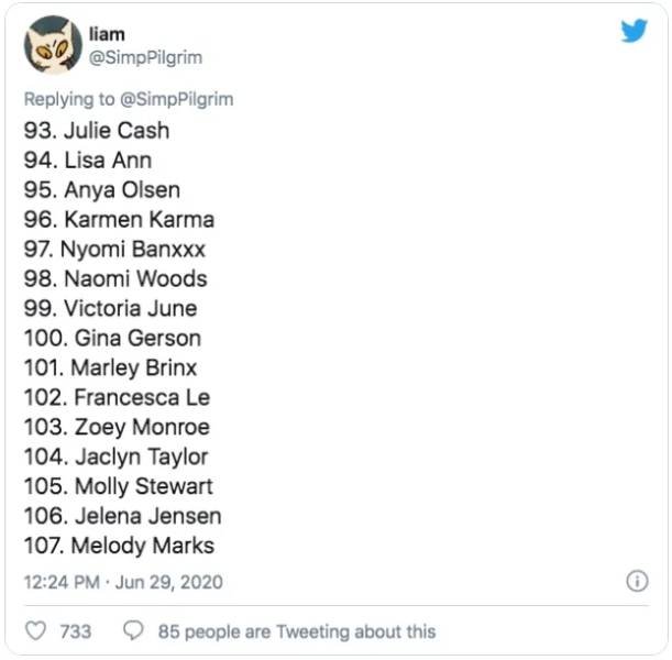 This Guy Ranked 370 Pornstars (24 pics)