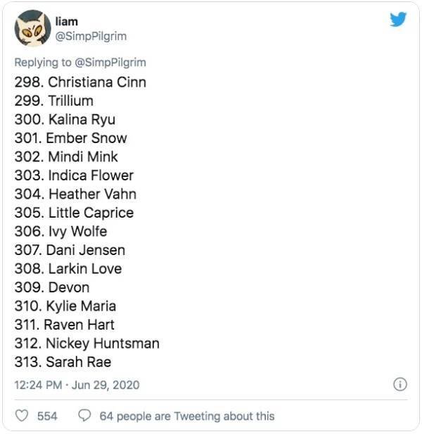 This Guy Ranked 370 Pornstars (24 pics)