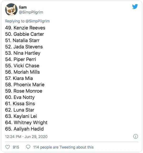 This Guy Ranked 370 Pornstars (24 pics)