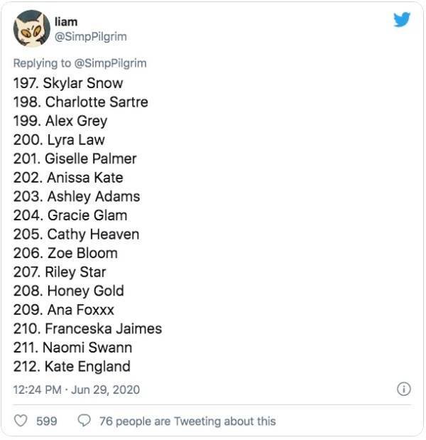 This Guy Ranked 370 Pornstars (24 pics)