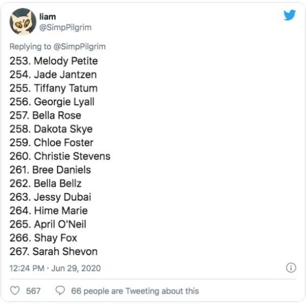 This Guy Ranked 370 Pornstars (24 pics)
