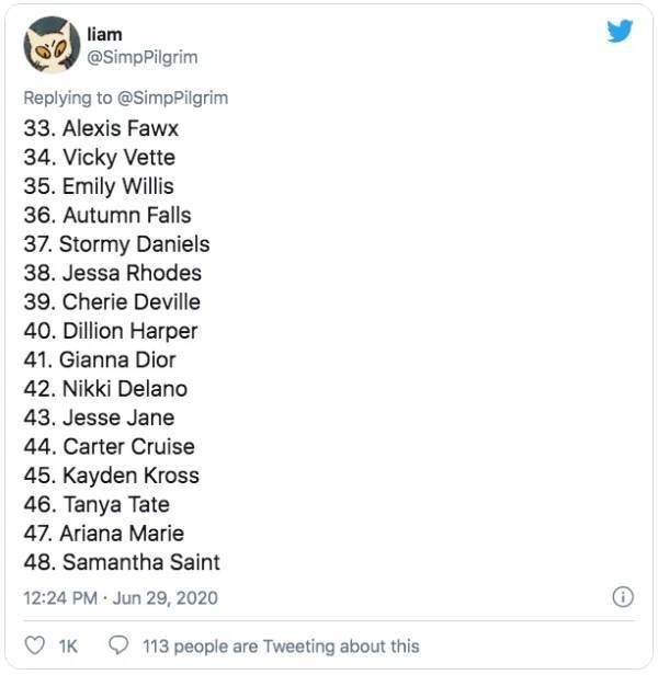 This Guy Ranked 370 Pornstars (24 pics)
