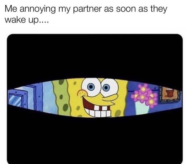 Flirtatious Memes (33 pics)