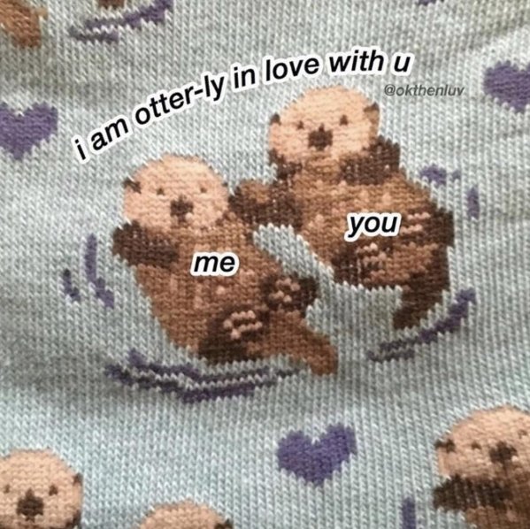 Flirtatious Memes (33 pics)