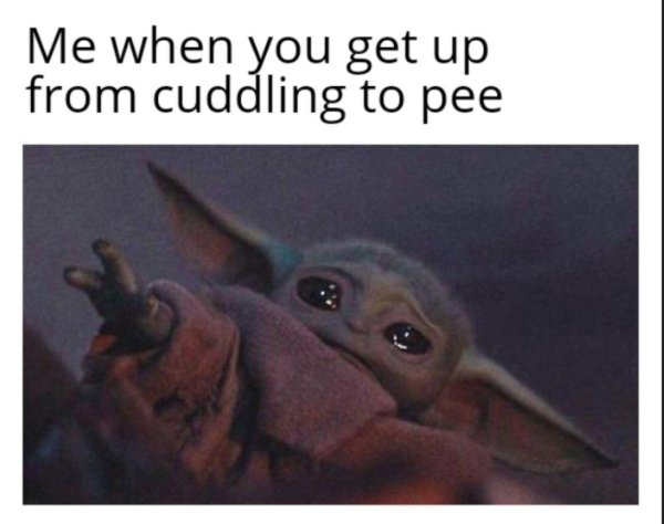 Flirtatious Memes (33 pics)