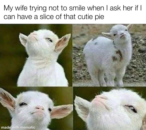 Flirtatious Memes (33 pics)