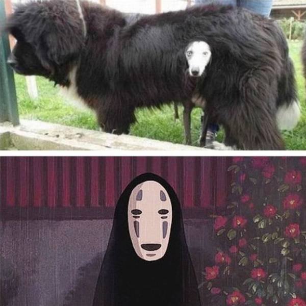 Acid Picdump. Part 2 (95 pics)