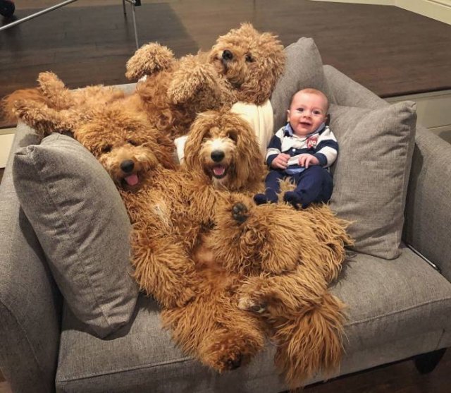 Acid Picdump. Part 2 (95 pics)