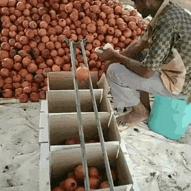 gifs_12.gif
