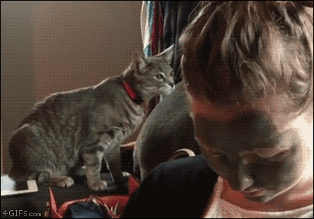 Acid Gifdump, July 3 (25 gifs)