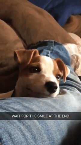 Acid Gifdump, July 3 (25 gifs)