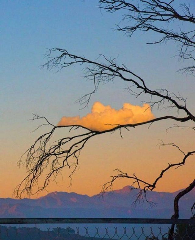 Wow Photos (20 pics)