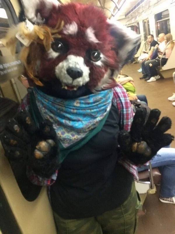 Weird Subway Passengers (39 pics)