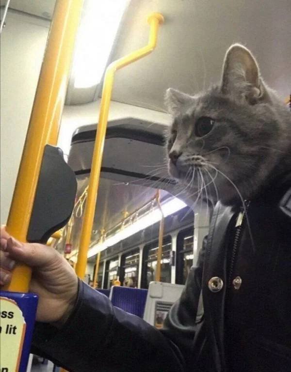 Weird Subway Passengers (39 pics)