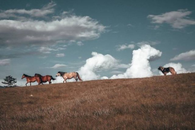 Wow Photos (20 pics)