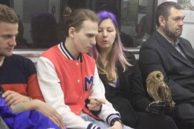 Weird Subway Passengers (39 pics)
