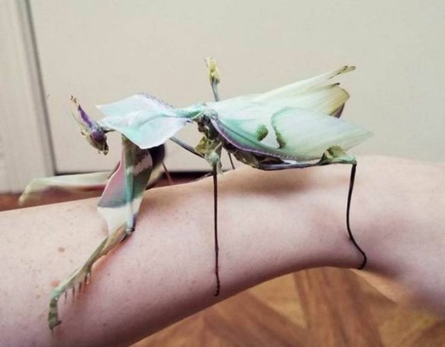 Wow Photos (20 pics)