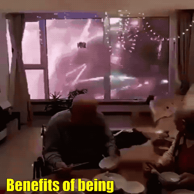 Fireworks Fails (24 gifs)