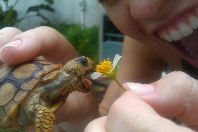 Acid Picdump. Part 2 (92 pics)