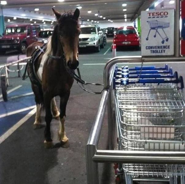 Acid Picdump. Part 2 (92 pics)