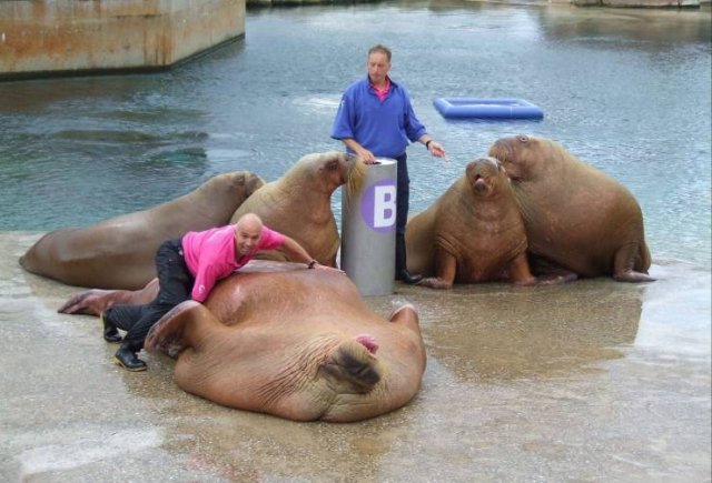 Acid Picdump. Part 2 (92 pics)