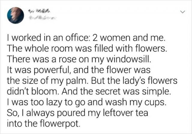 Marriage Stories (13 pics)