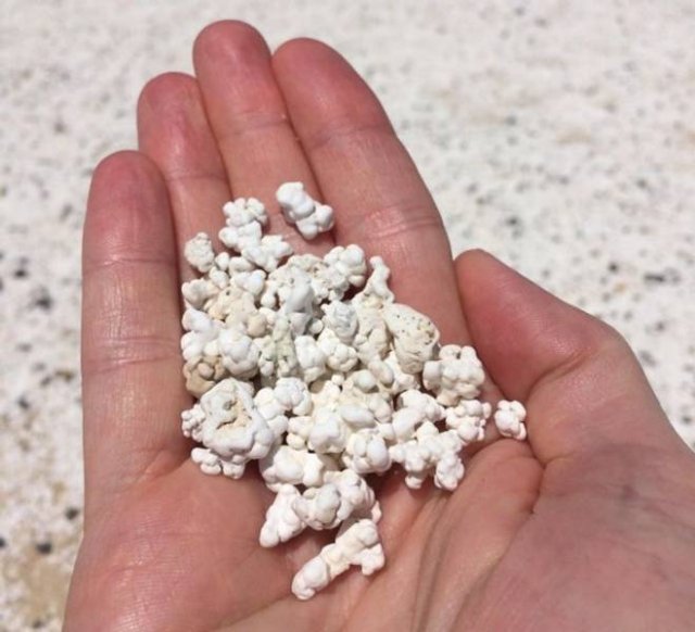 It Is Not A Food (16 pics) It Is Not A Food (16 pics)
