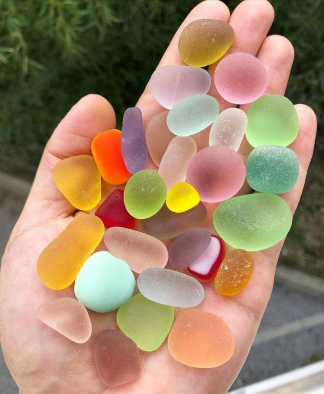 It Is Not A Food (16 pics) It Is Not A Food (16 pics)