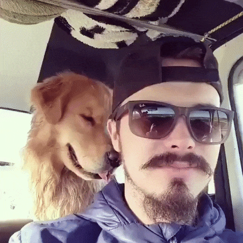 Pets With Their Owners (19 pics)