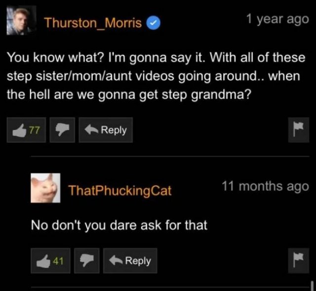 Pornhub Comments (35 pics)