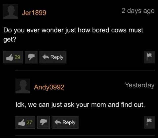 Pornhub Comments (35 pics)