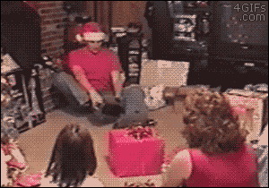 Fails (14 gifs)