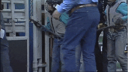Fails (14 gifs)