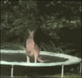 Fails (14 gifs)