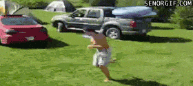 Fails (14 gifs)