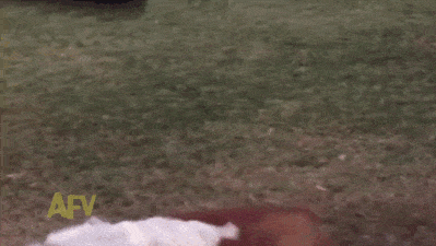 Fails (14 gifs)