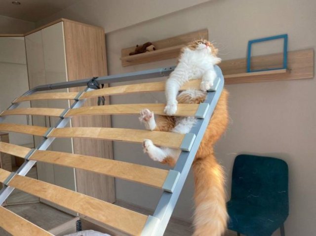 Bad Days Happen (45 pics)
