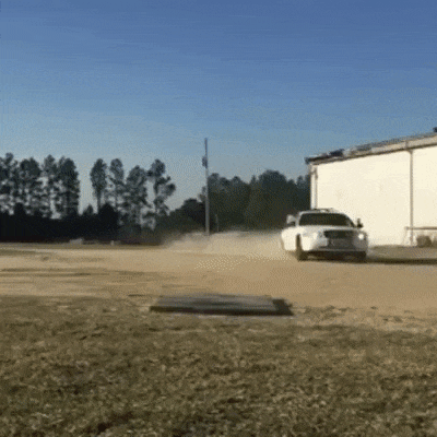 Acid Gifdump, July 7 (25 gifs)