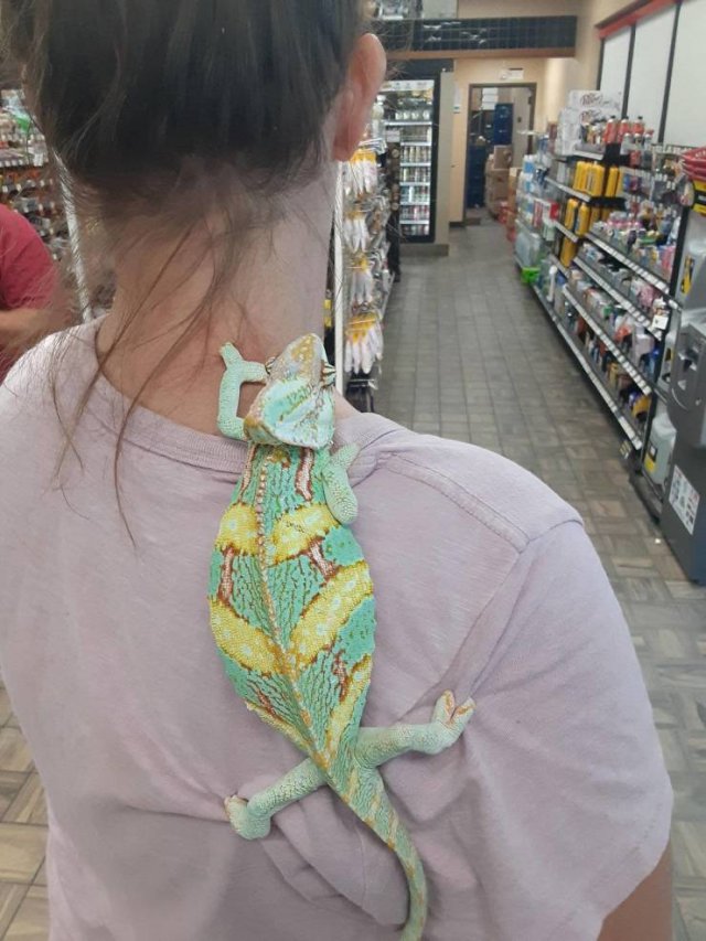 Perfection Is Possible (24 pics) Perfection Is Possible (24 pics)