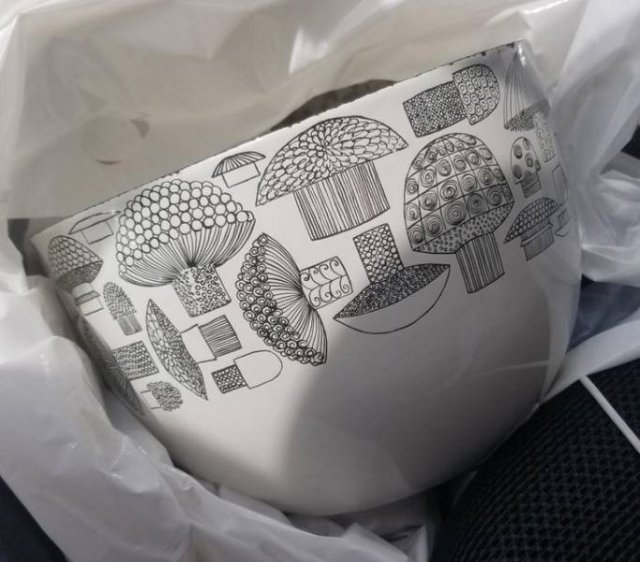 Cheap Thrift Store Treasures (26 pics)