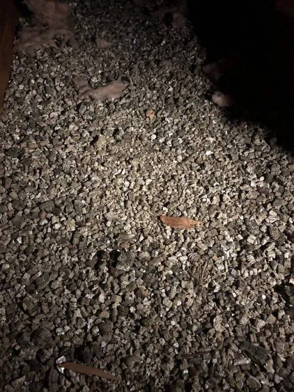 What Are These Things For? (21 pics)