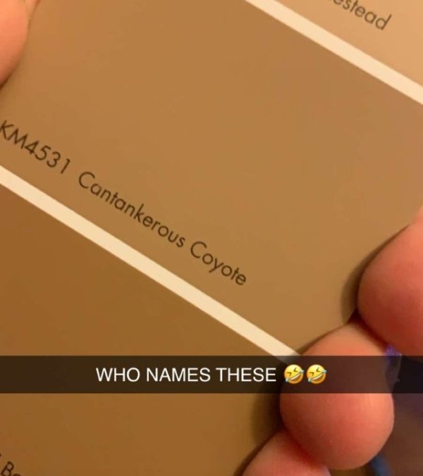 Explanation Needed (37 pics)