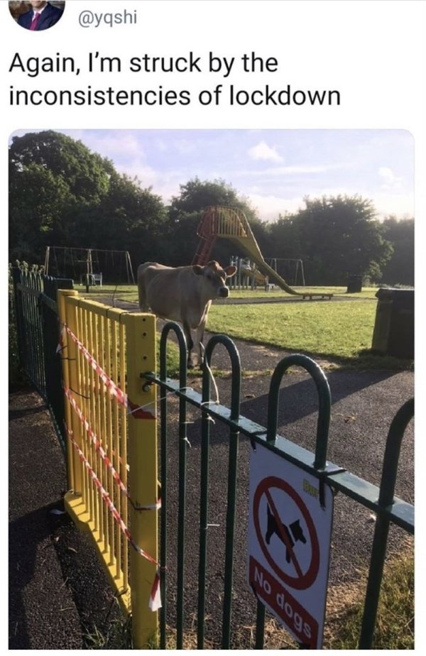 Explanation Needed (37 pics)